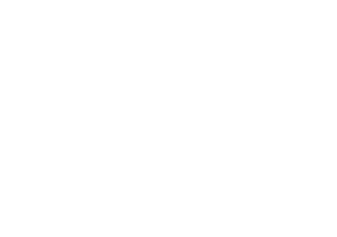 and leads. It also established B2B and B2C relationship mapping to support cross leveraging between the group and D2C...