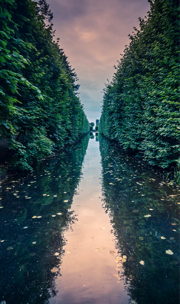 Beautiful vanishing point over the long pond bordered by trees in the old garden of Oliwa. The pink sky is reflected in the water. Oliwa is a district of Gdansk city in the north of Poland.